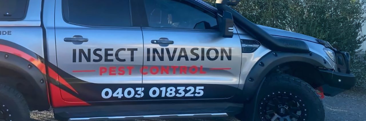 Door of the Insect Invasion ute lettered Insect Invasion Pest Control 0403 018325
