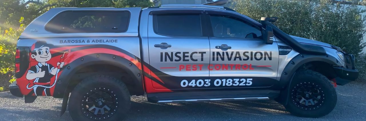 The Insect Invasion pest control ute with its cartoon mascot and Barossa & Adelaide signwriting